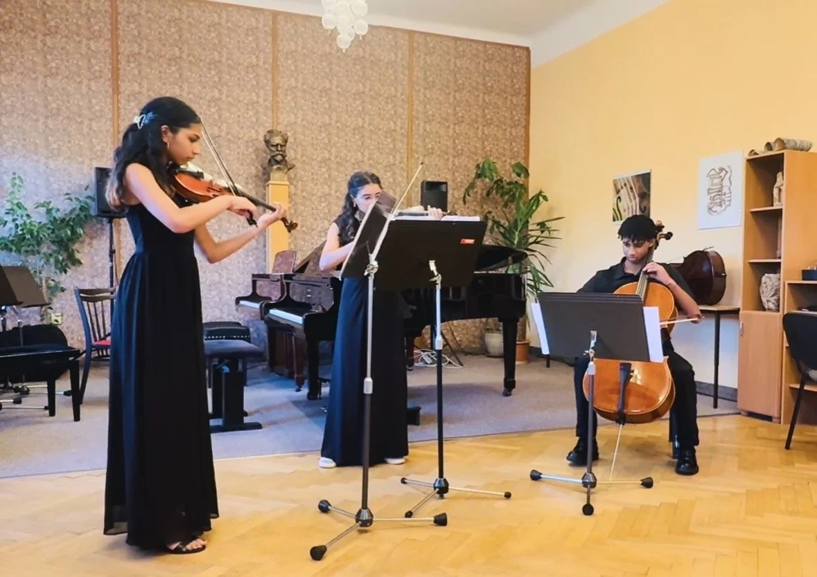 Musical Networks' Carlsbad Music Festival, Czech Republic