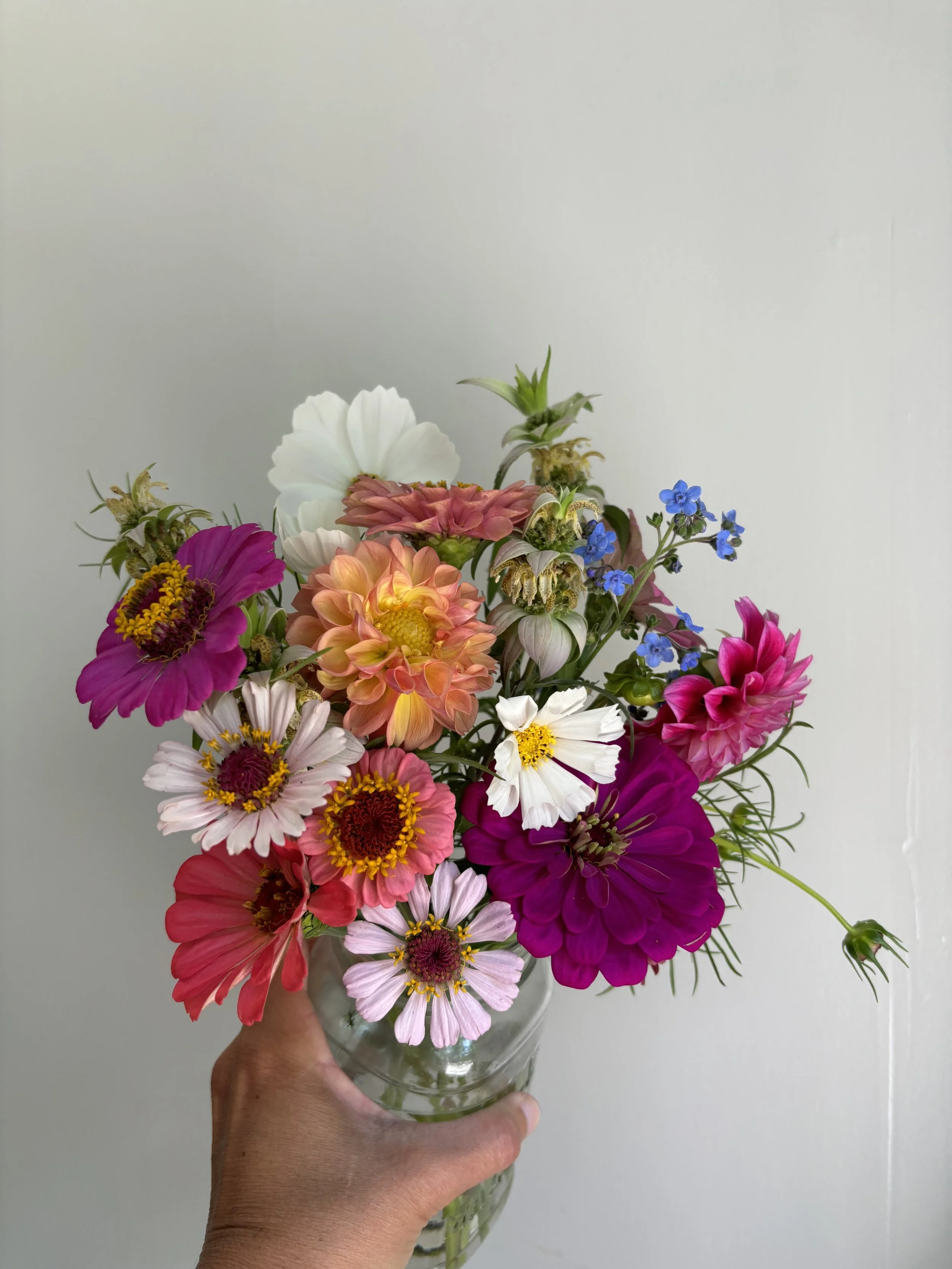 IMG_5556.jpeg
