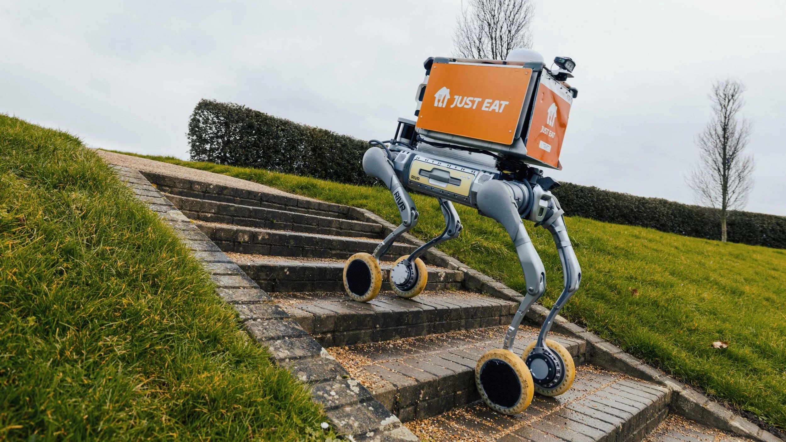 Just Eat Launches UK Delivery Robot Trial Ahead of Valentine’s Day Surge