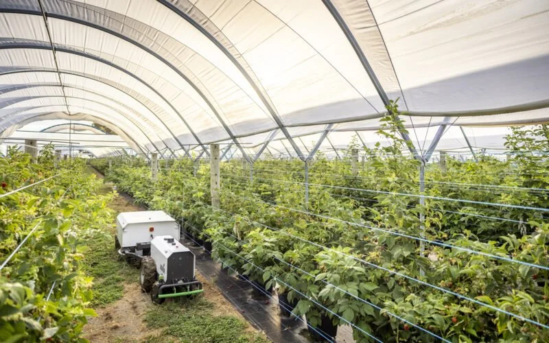 Agovor Raises AU$3 Million to Advance Autonomous Horticulture Robotics