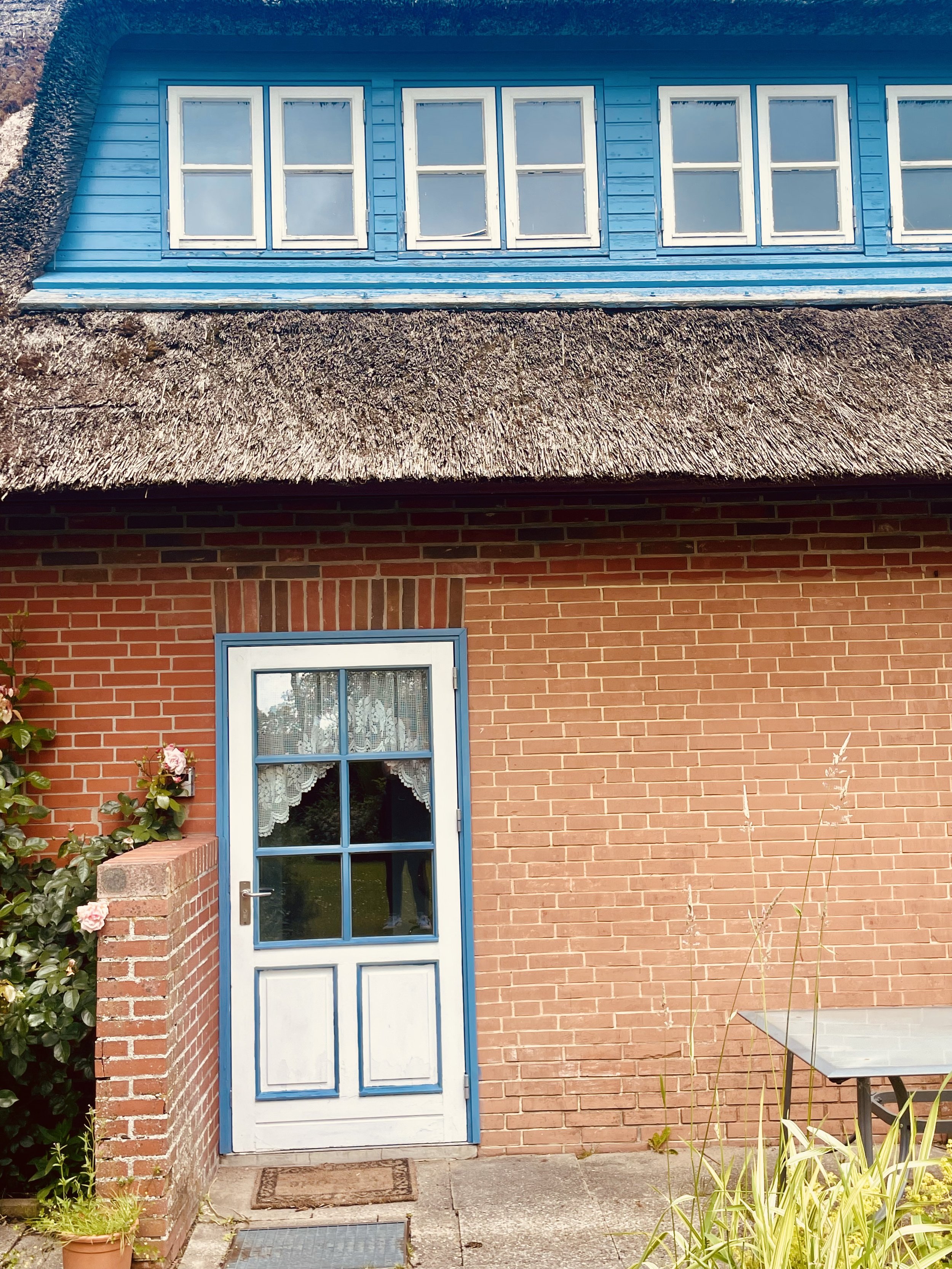 Ein Haus mit roter Backsteinfassade, blauer Tür und blauen Fenstern im Obergeschoss. Es gibt eine Hecke mit rosa Rosen an der Seite und eine Gartenbank im Garten.