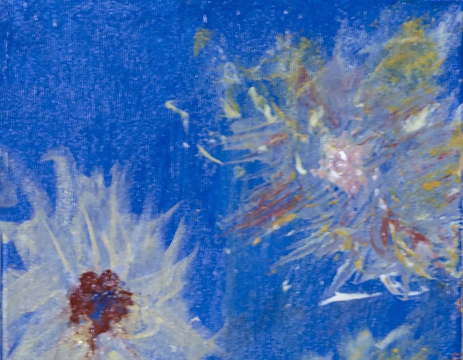 Two abstract floral paintings with blue backgrounds. The left flower has white petals and a red center, while the right one has multicolored petals with shades of purple, yellow, and red.