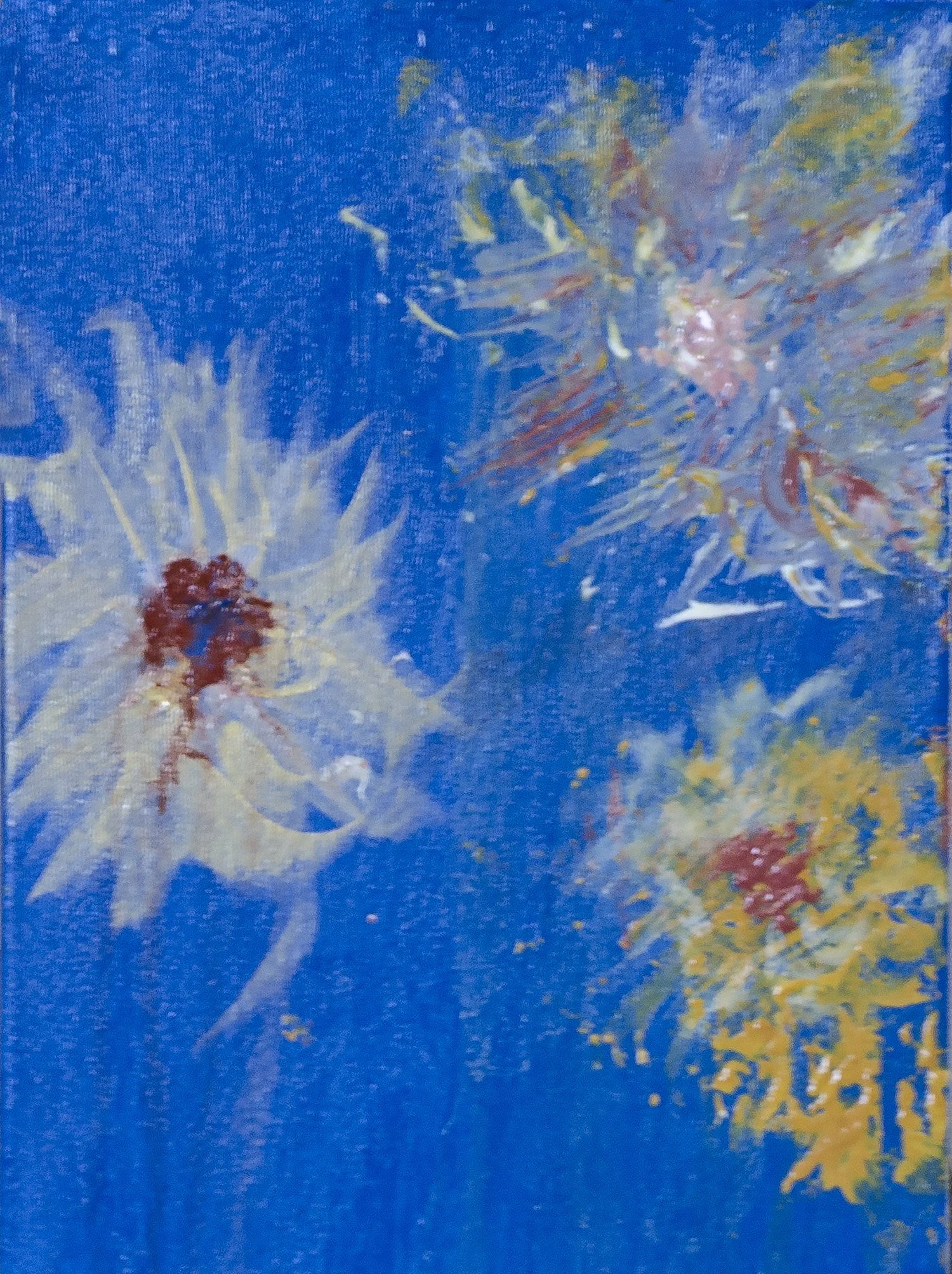 Spring Splender 10x30 2.jpg