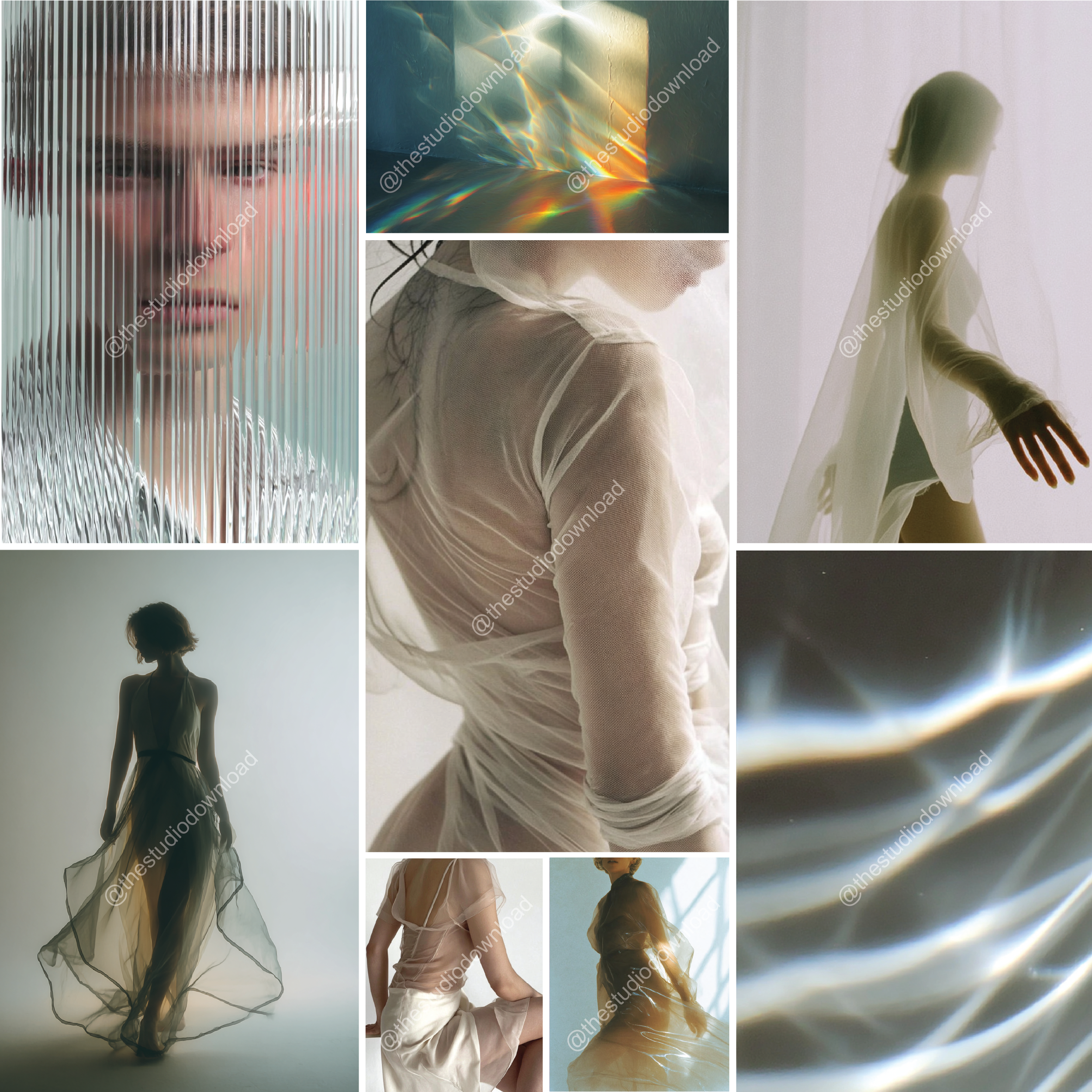 translucense (1)-08.png