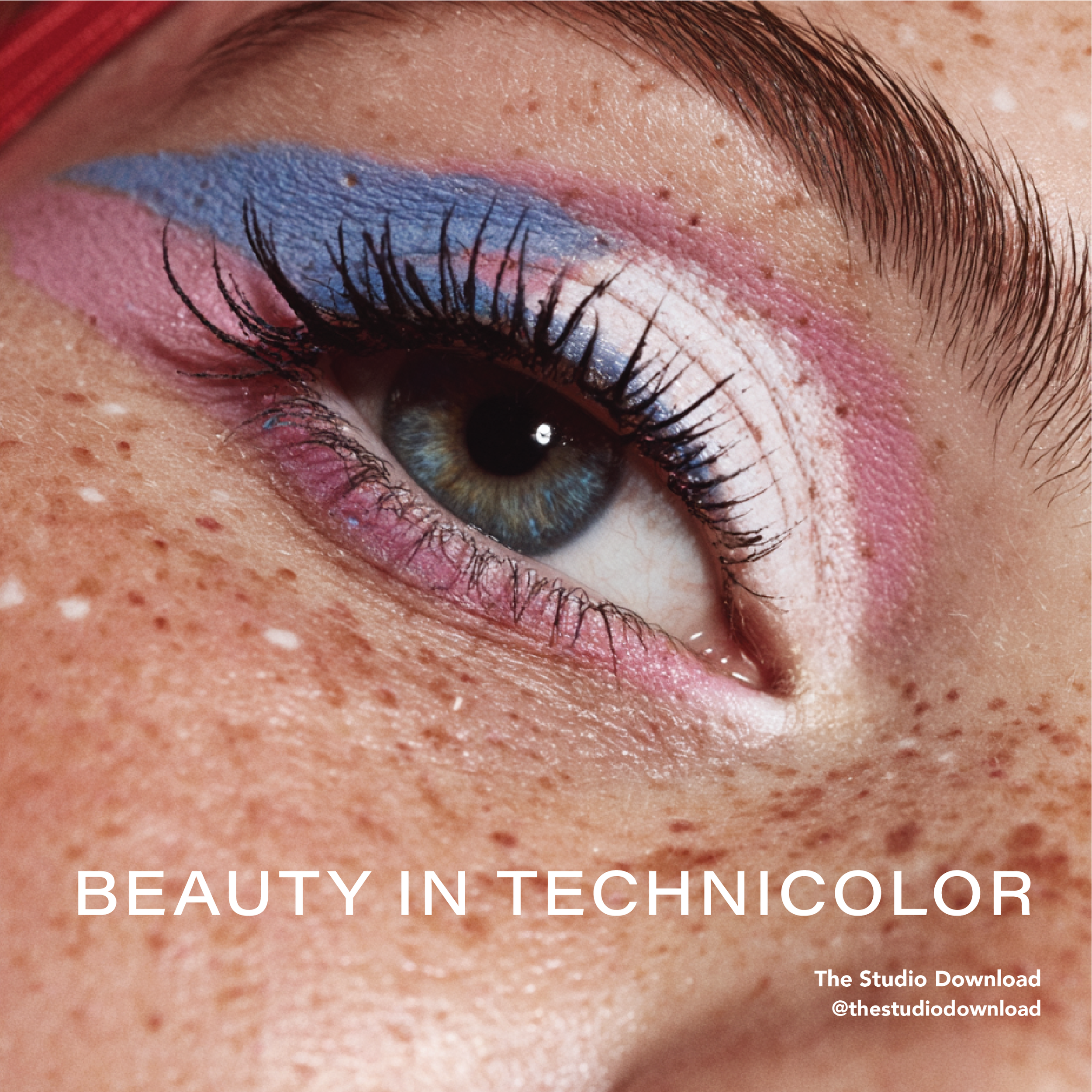 Colorful_Beauty-05.png
