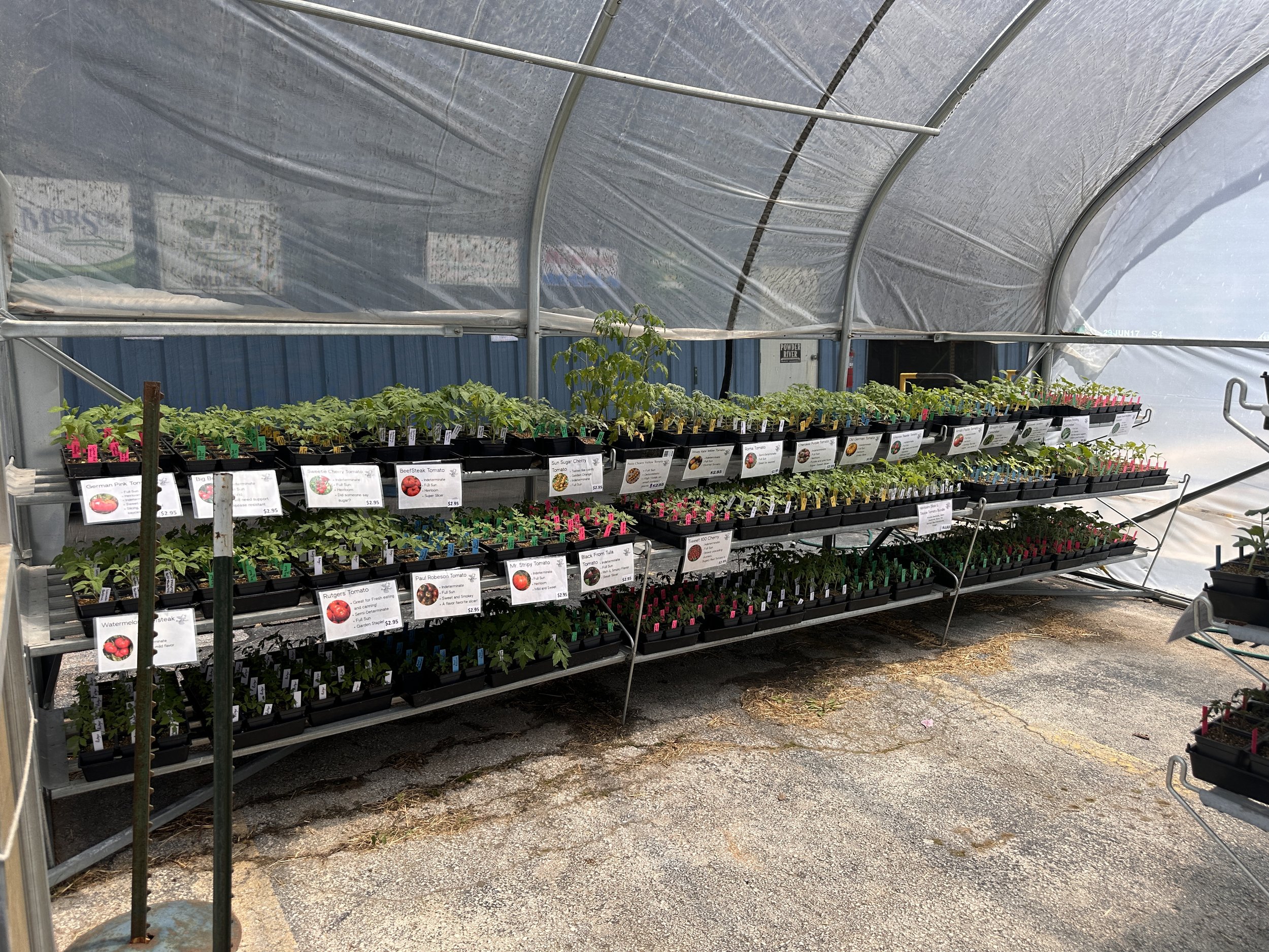 We sold 2,500 Plants… 