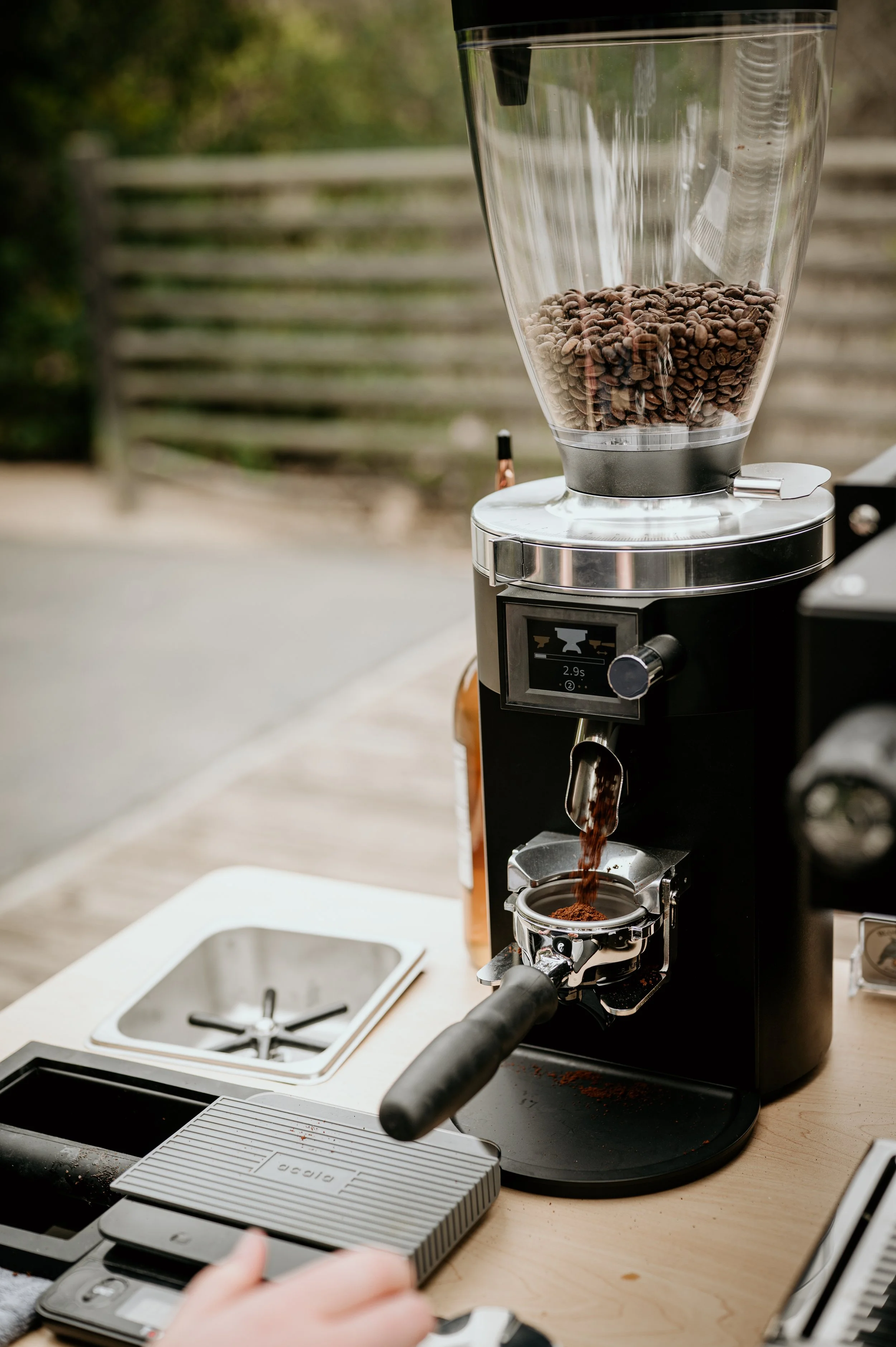 Why Bluejay Coffee Co. Chooses Local Ethical Coffee Beans for Your San Diego Event