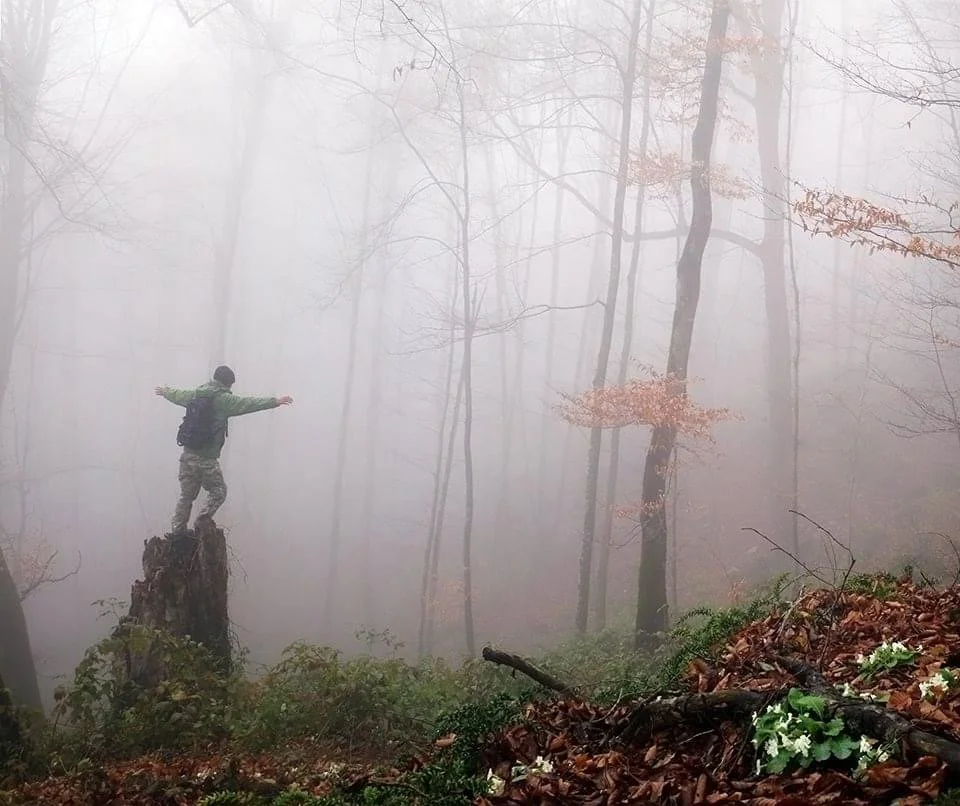 Everything began here