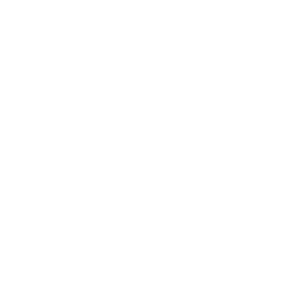 DavidPierreStudio