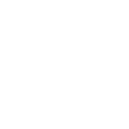 DavidPierreStudio