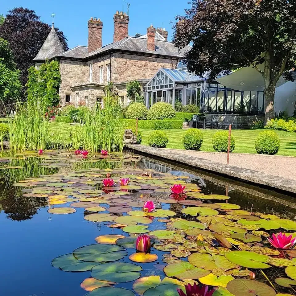 Modern building with wooden exterior and large glass window set against a mountainous landscape with dry grass and sparse vegetation.