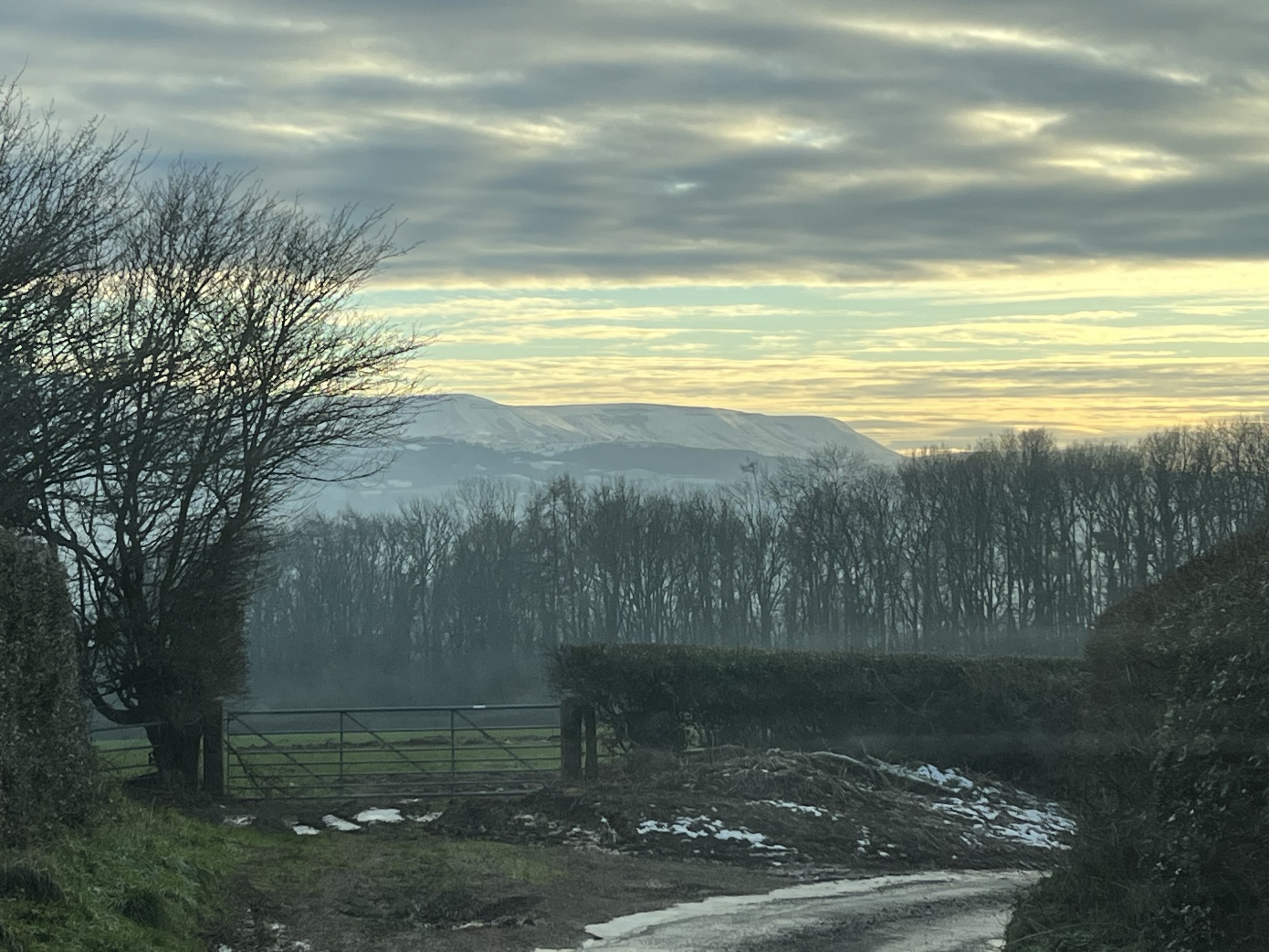 Scenic view of a rural landscape with leafless trees, a metal gate, snow patches, a dirt road, mist, and distant snow-capped mountains under a cloudy sky.
