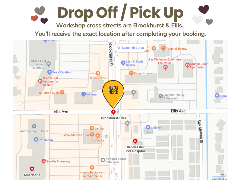 Map showing the location of 'You Are Here' marker at Brookhurst and Ellis streets, nearby businesses and landmarks including Brookhurst & Pet Hospital, Pet Supply, 7-Eleven, Starbucks, Lucky Chinese Food, Lucky Chinese Food, AutoZone Auto Parts, Sav-On Pharmacy, and other local businesses.