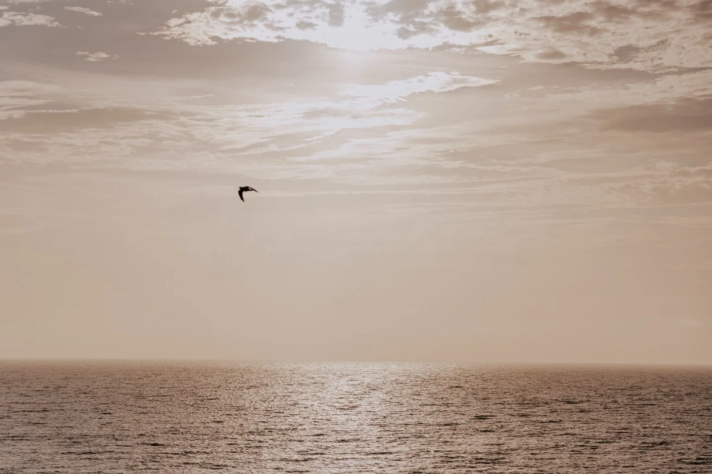 missing the ocean a little more this week