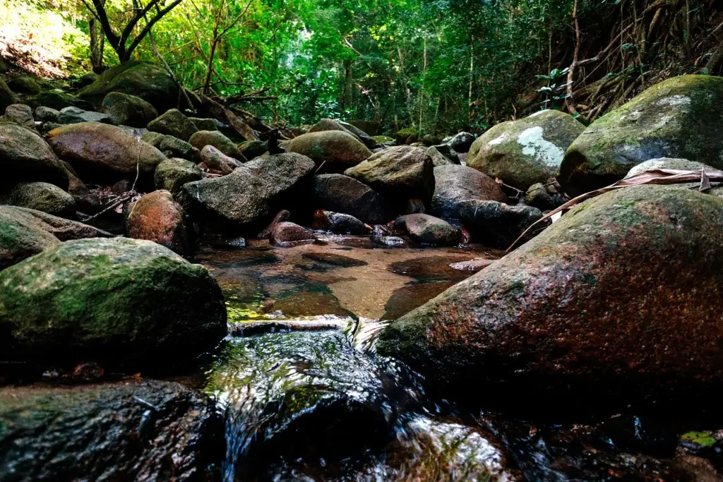stream.webp