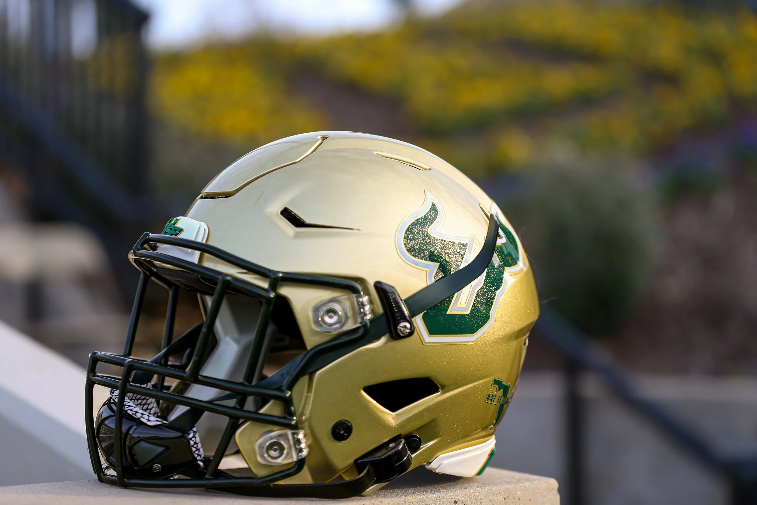 A green and gold football helmet with a logo of a stylized animal on the side, sitting on a ledge outdoors, with a blurred background of trees and a fence.