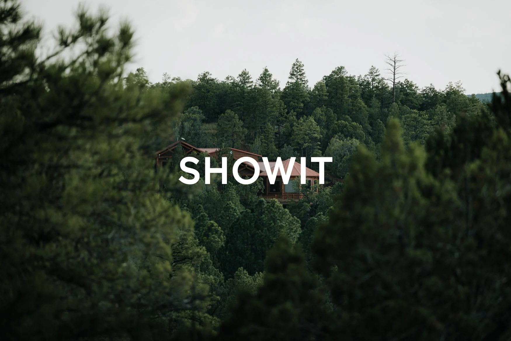 Showit