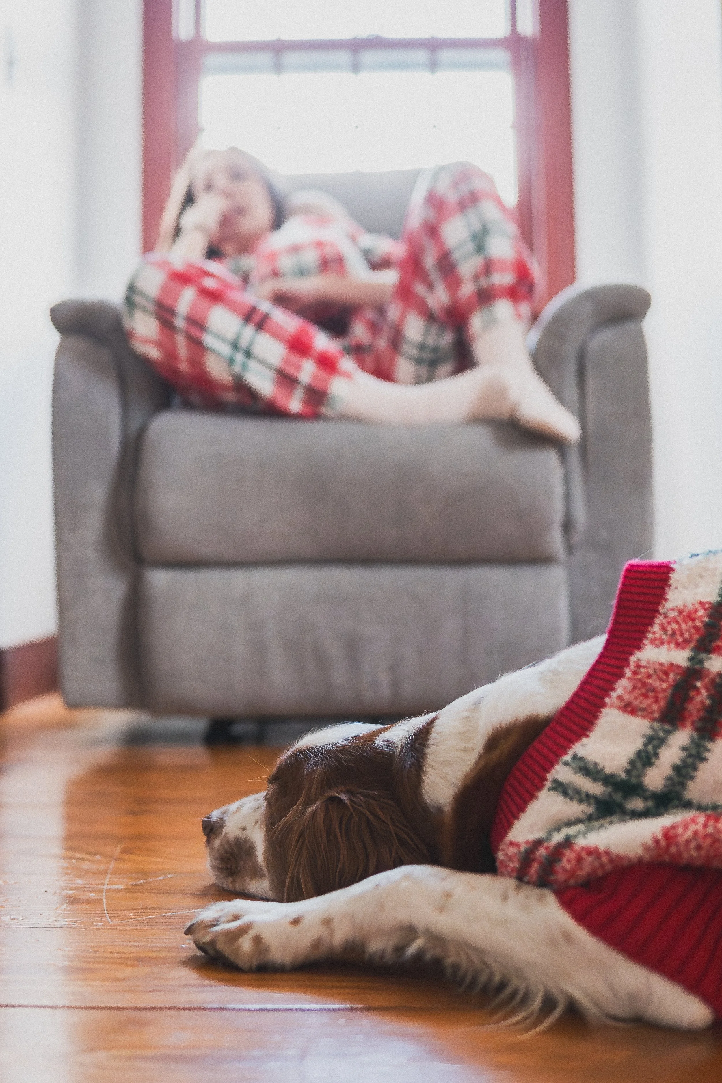 parent-holding-newborn-in-chair-with-family-dog-lifestyle-session.jpg