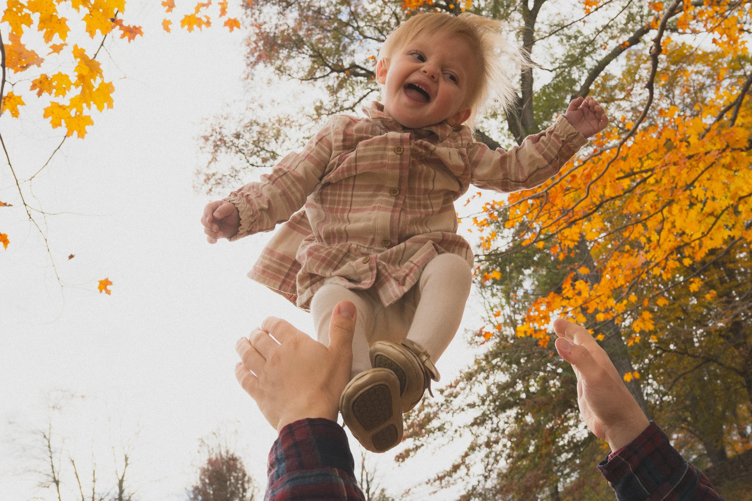 Toddler laughing while being lifted into the air during a fall family photography session in Concord Massachusetts.