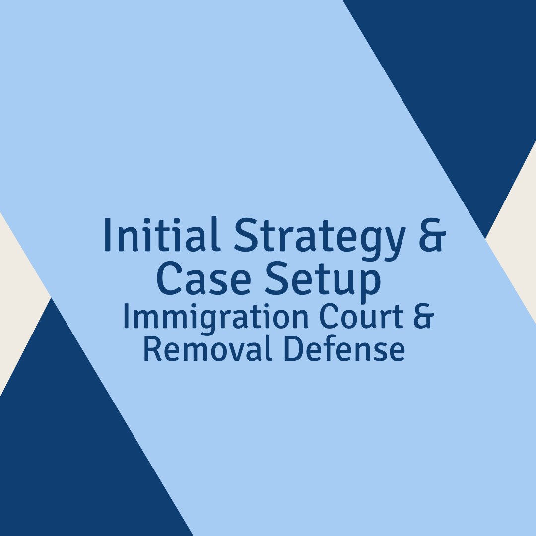 Initial Strategy & Case Setup - Immigration Court & Removal Defense