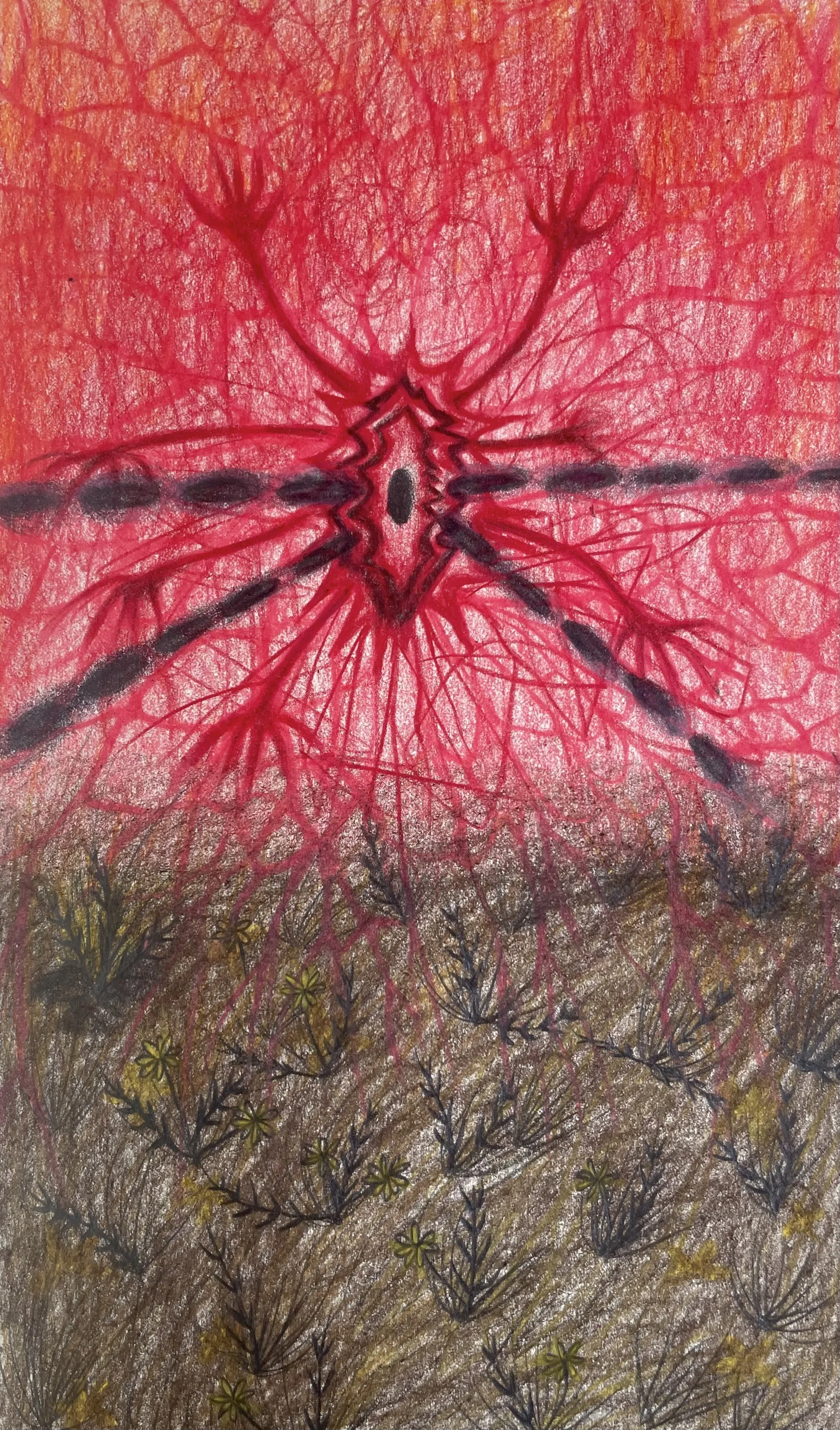 outer spirit, pencil on paper, 5 x 8"