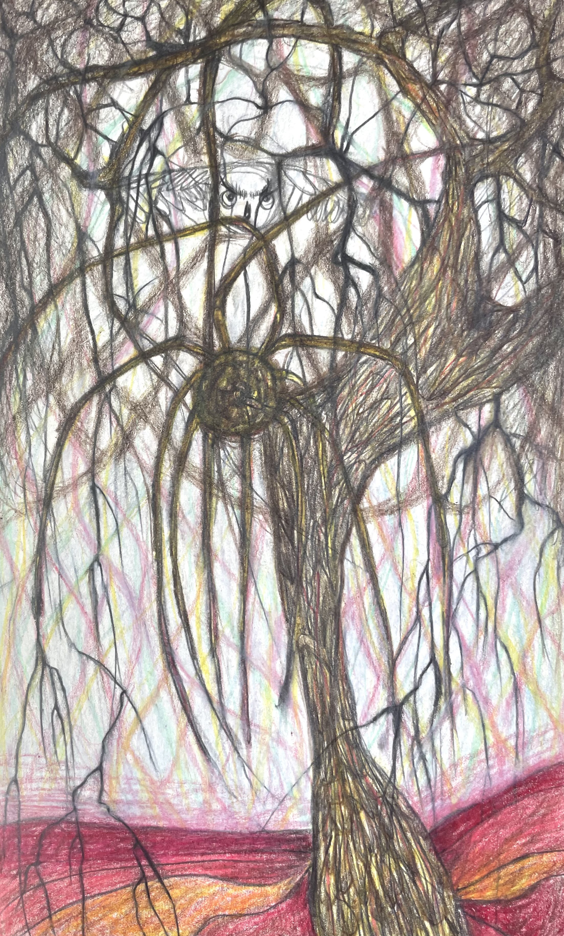 owl, pencil on paper, 5 x 8"