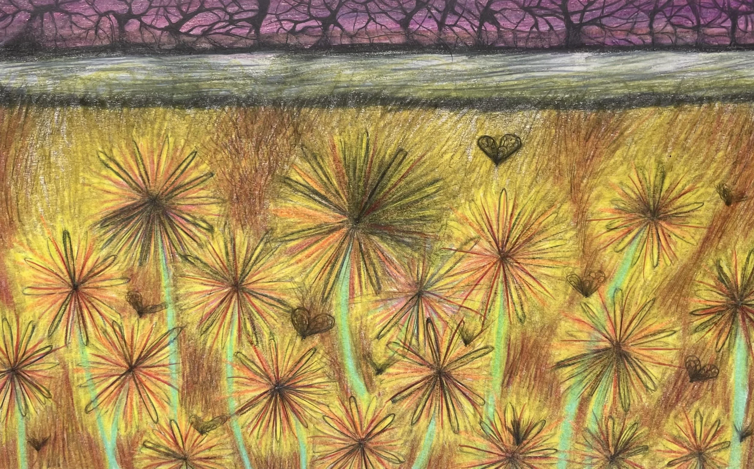 dandelions, pencil on paper, 5 x 8"