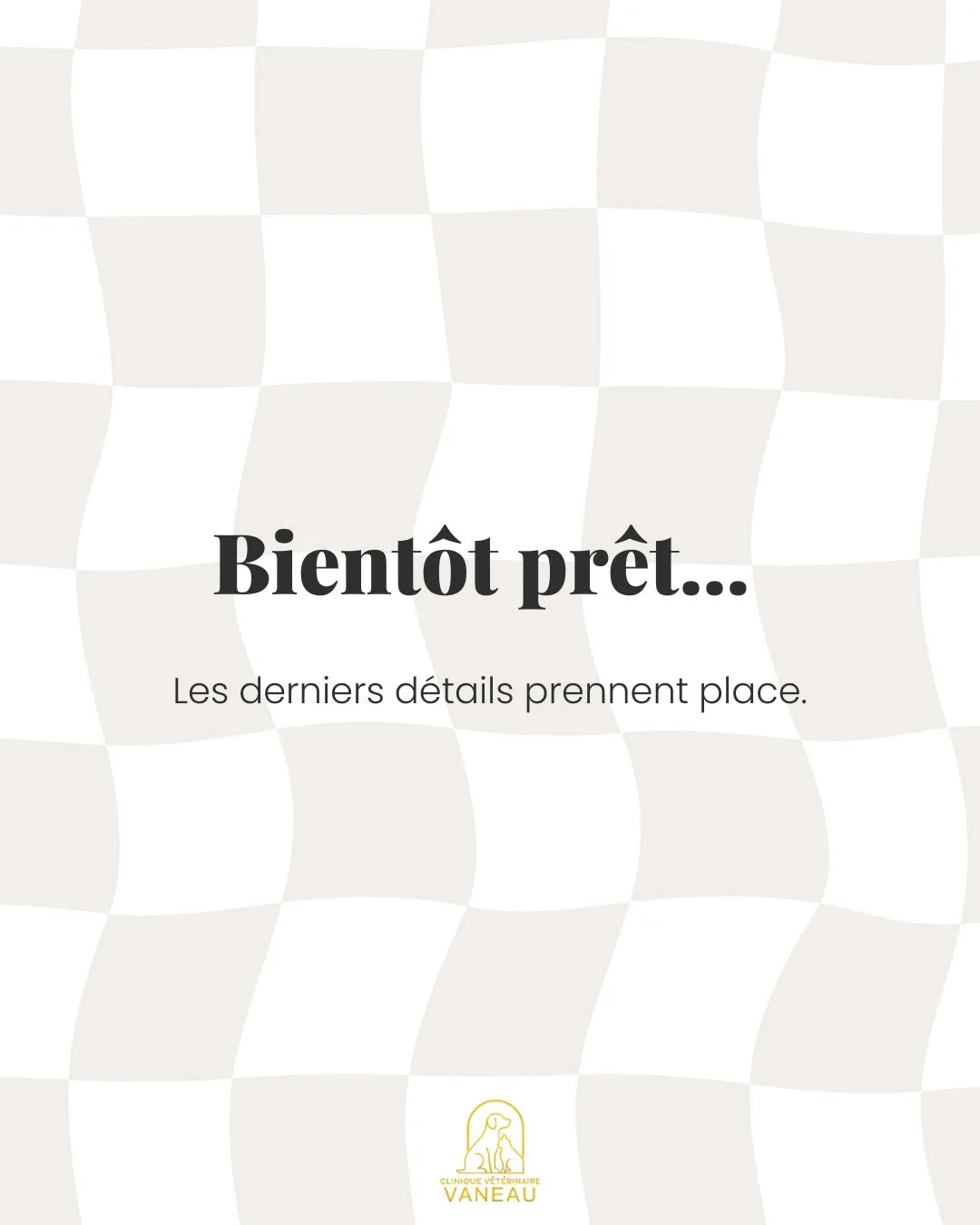 La clinique prend forme, doucement.

Chaque d&eacute;tail est pens&eacute; pour offrir &agrave; vos chiens et &agrave; vos chats un environnement apaisant, adapt&eacute; &agrave; leurs besoins et &agrave; votre s&eacute;r&eacute;nit&eacute;.

Encore 