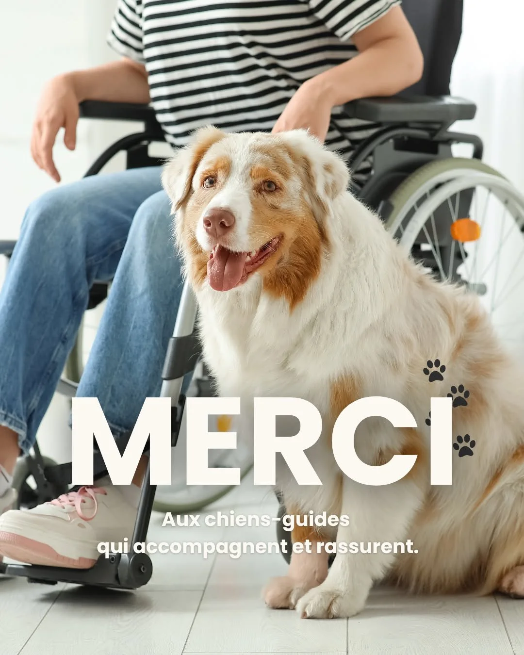 Aujourd&rsquo;hui, nous souhaitions simplement dire merci.

Merci &agrave; tous les chiens-guides qui accompagnent, s&eacute;curisent et soutiennent des millions de personnes au quotidien.

Derri&egrave;re chaque chien-guide, il y a un engagement, un