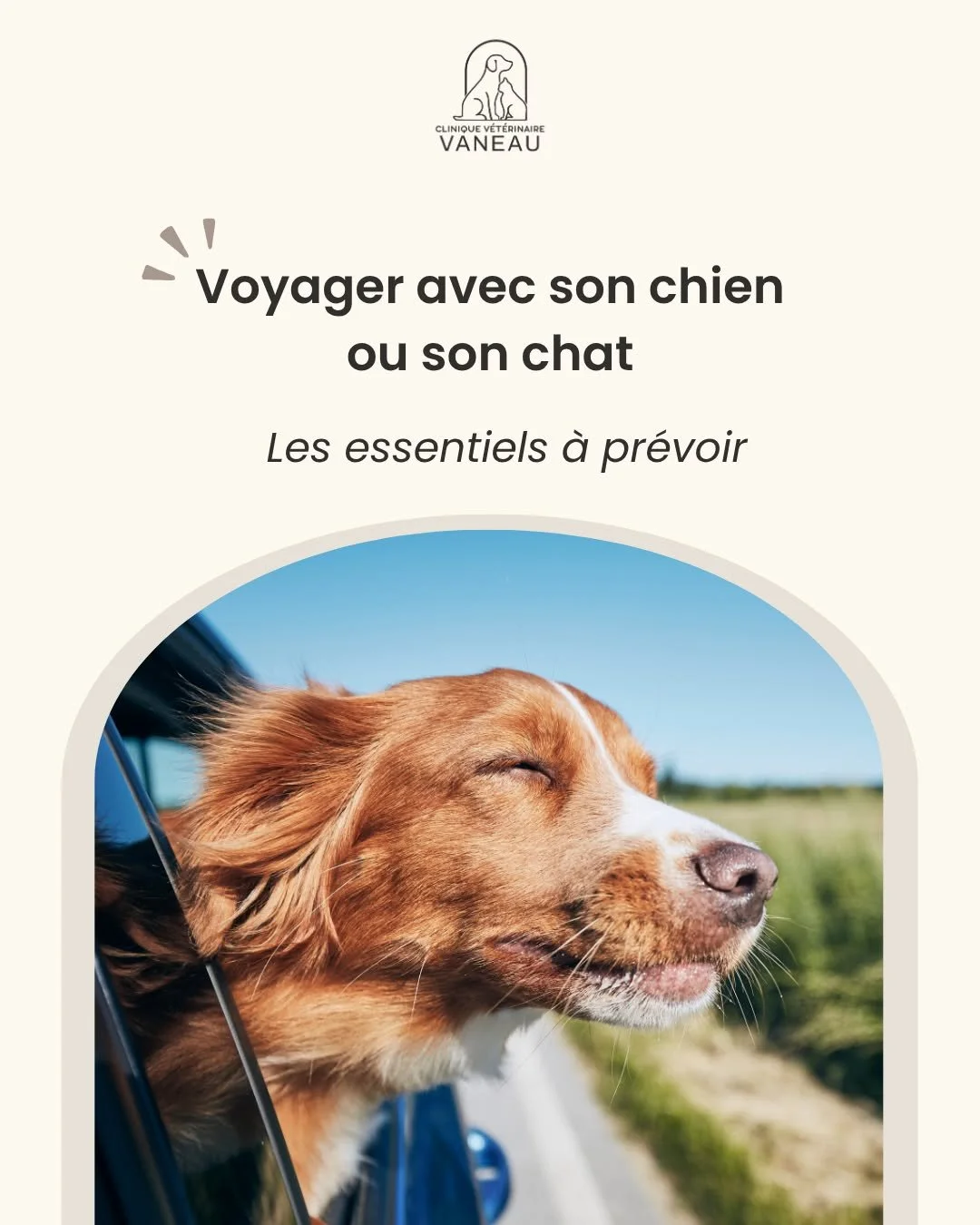 Les longs weekends et les vacances arrivent.. mais voyager avec son animal demande un peu d&rsquo;anticipation ! 🐾

Vaccinations, antiparasitaires, formalit&eacute;s administratives&hellip;
chaque destination a ses sp&eacute;cificit&eacute;s.

Pour 