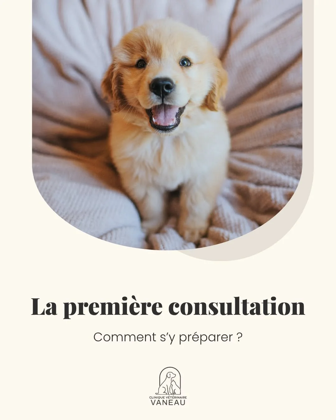 Comment se d&eacute;roule la premi&egrave;re consultation de votre chiot ou de votre chaton ? 🐾

La premi&egrave;re visite est un moment important, parfois un peu stressant pour votre animal&hellip; et pour vous aussi.

Voici les points essentiels &