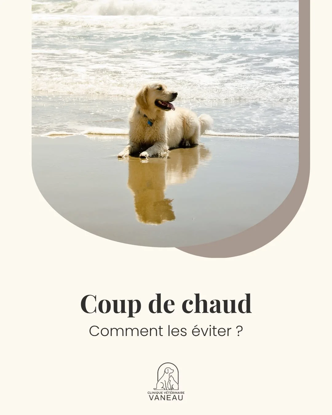 🌞 Avec les fortes chaleurs de ces derniers jours, il est essentiel d&rsquo;aider nos compagnons &agrave; rester au frais.

Promenades aux heures les plus fra&icirc;ches, eau &agrave; disposition, jeux glac&eacute;s&hellip;
Quelques gestes simples pe