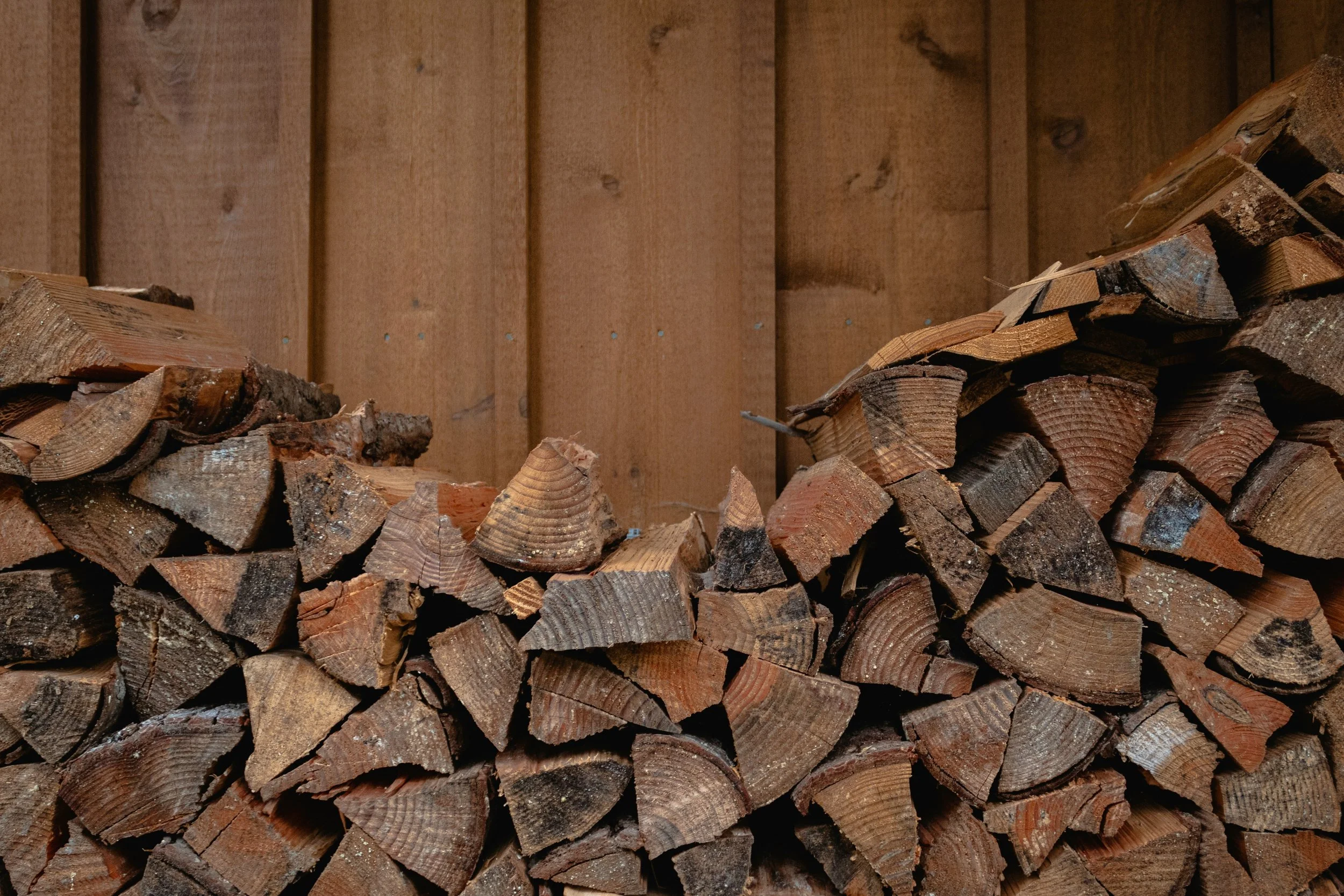Stacked firewood logs in front of a wooden wall.