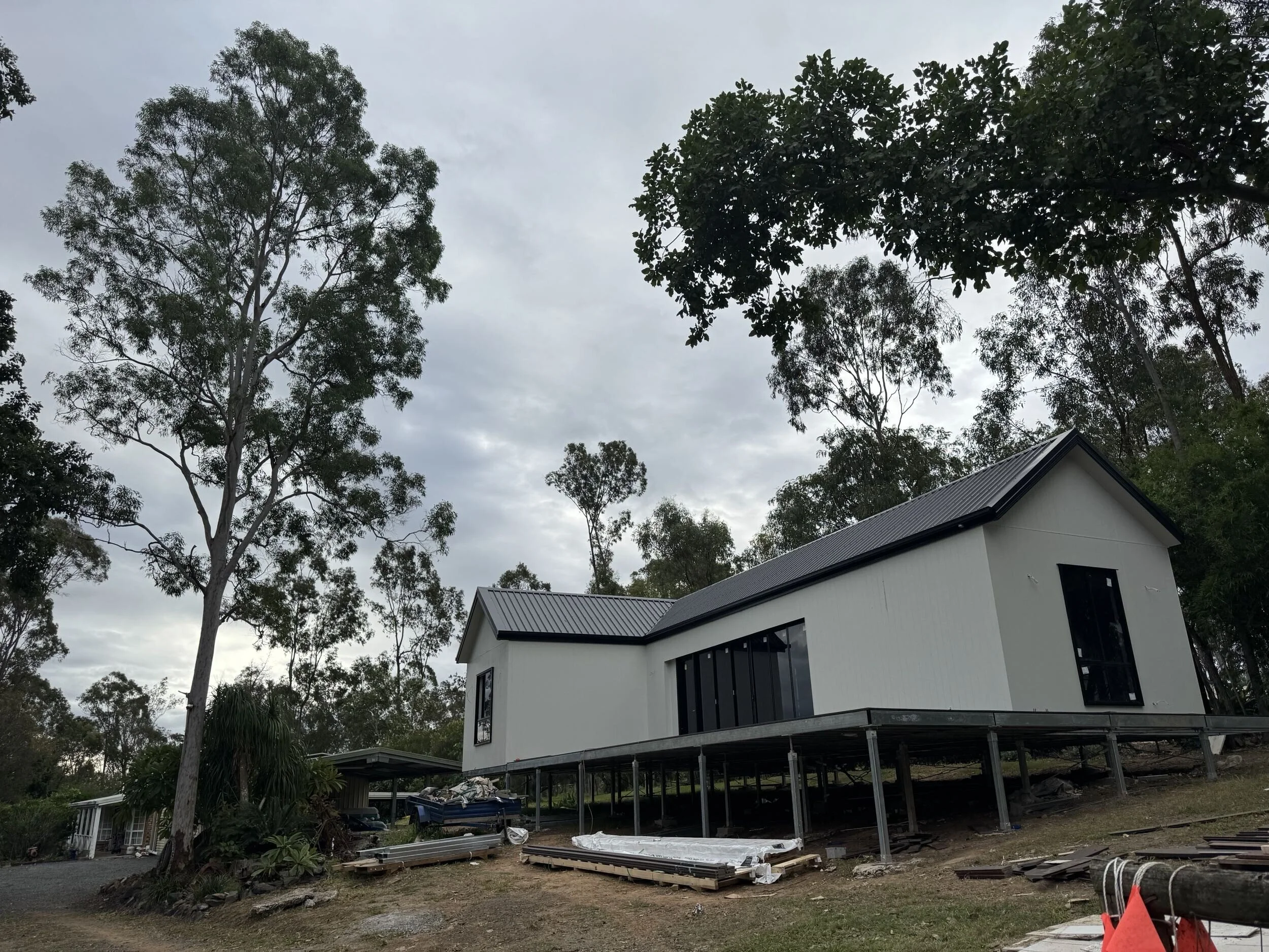 Brushwood Amber copy.jpg