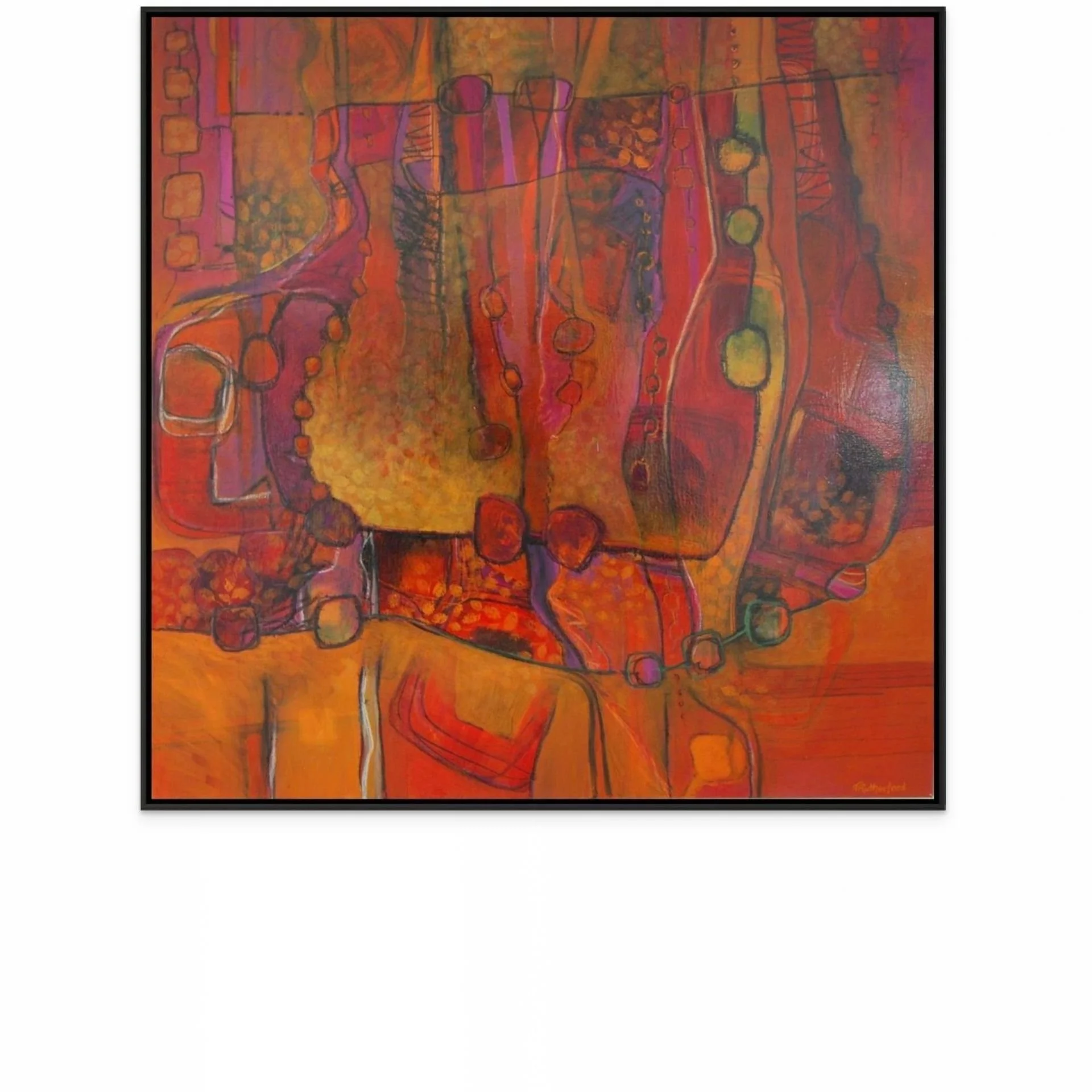 journey to kondalilla-180 top medium.jpg