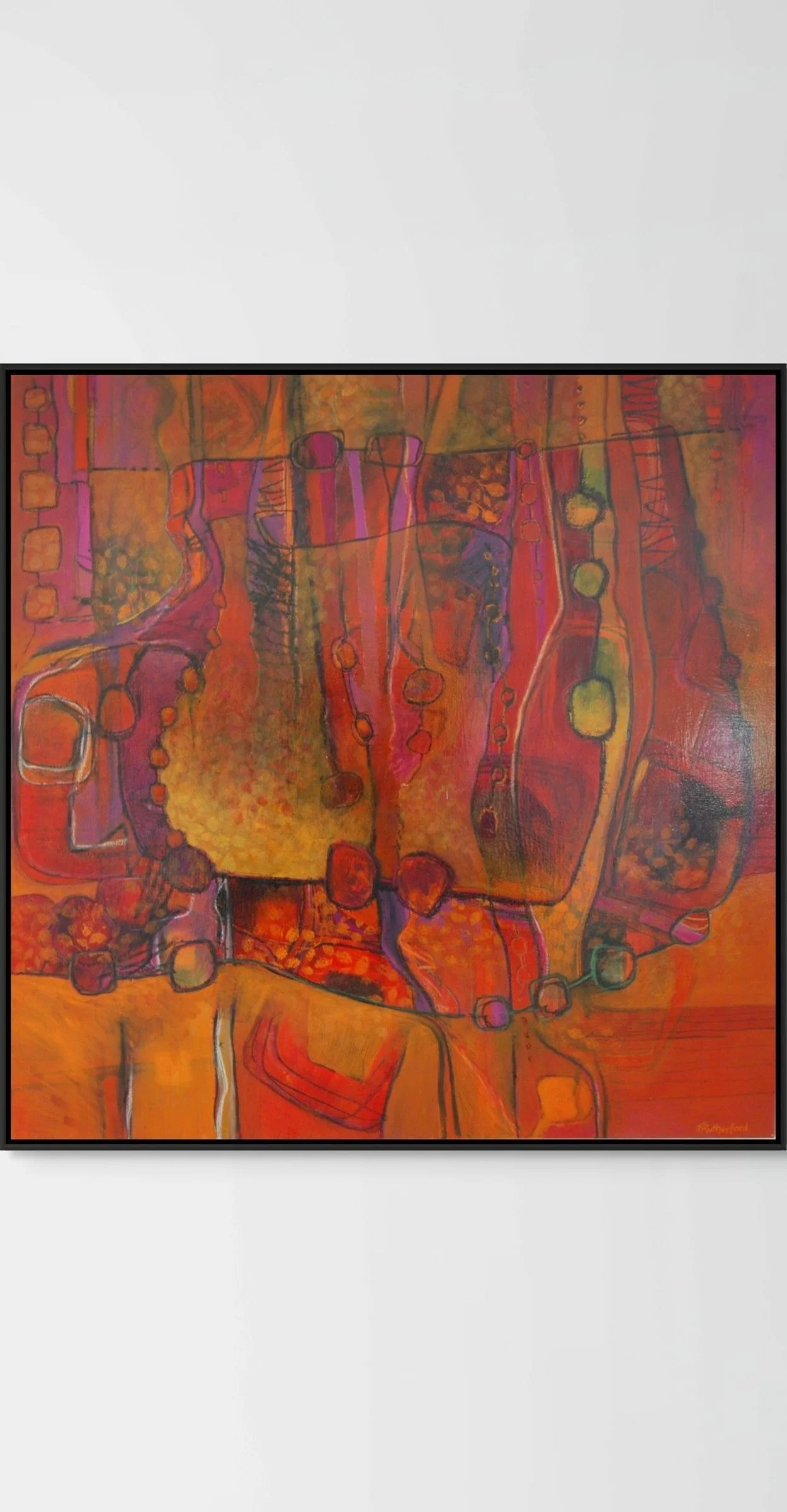 Journey to Kondalilla