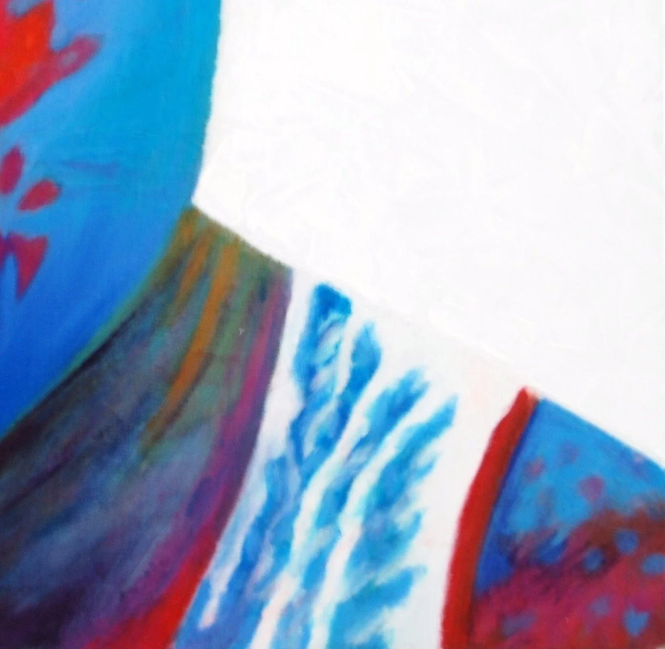 Indigenous Detail 4.JPG