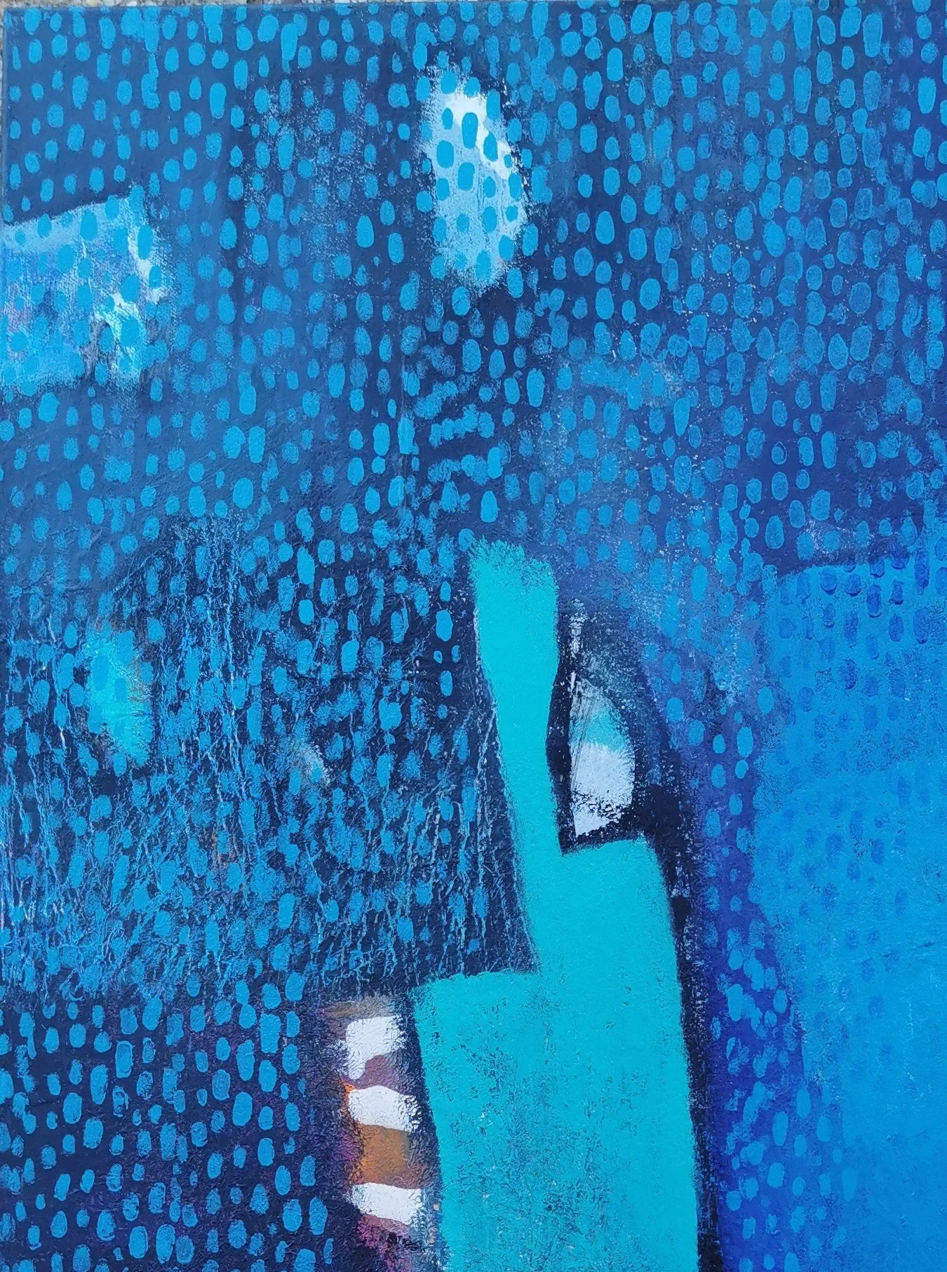 Inundation Detail 1 .jpg