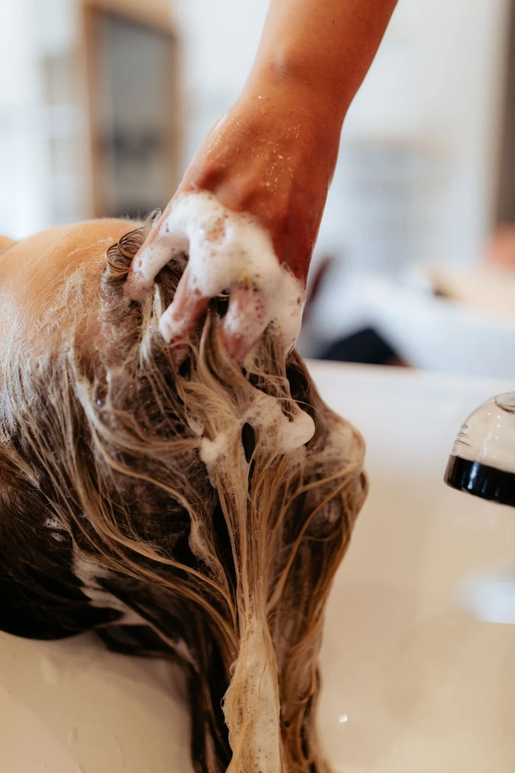 Person washing a dog's fur with soap, creating lather during a bath.