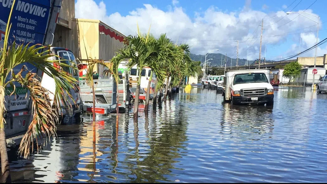 Flooded street with parked cars and palm trees