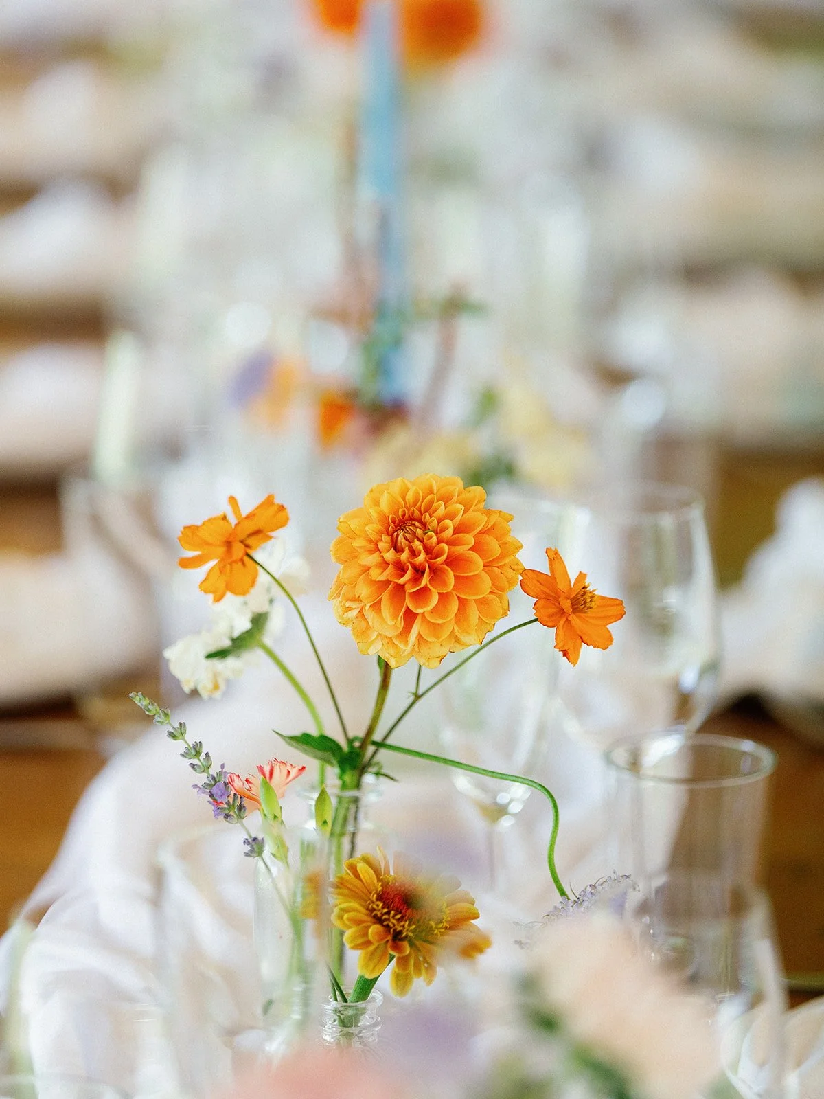 10142914435.jpg_exif1 (1).jpg