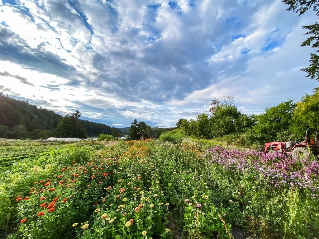 Designing Your Cutting Garden 