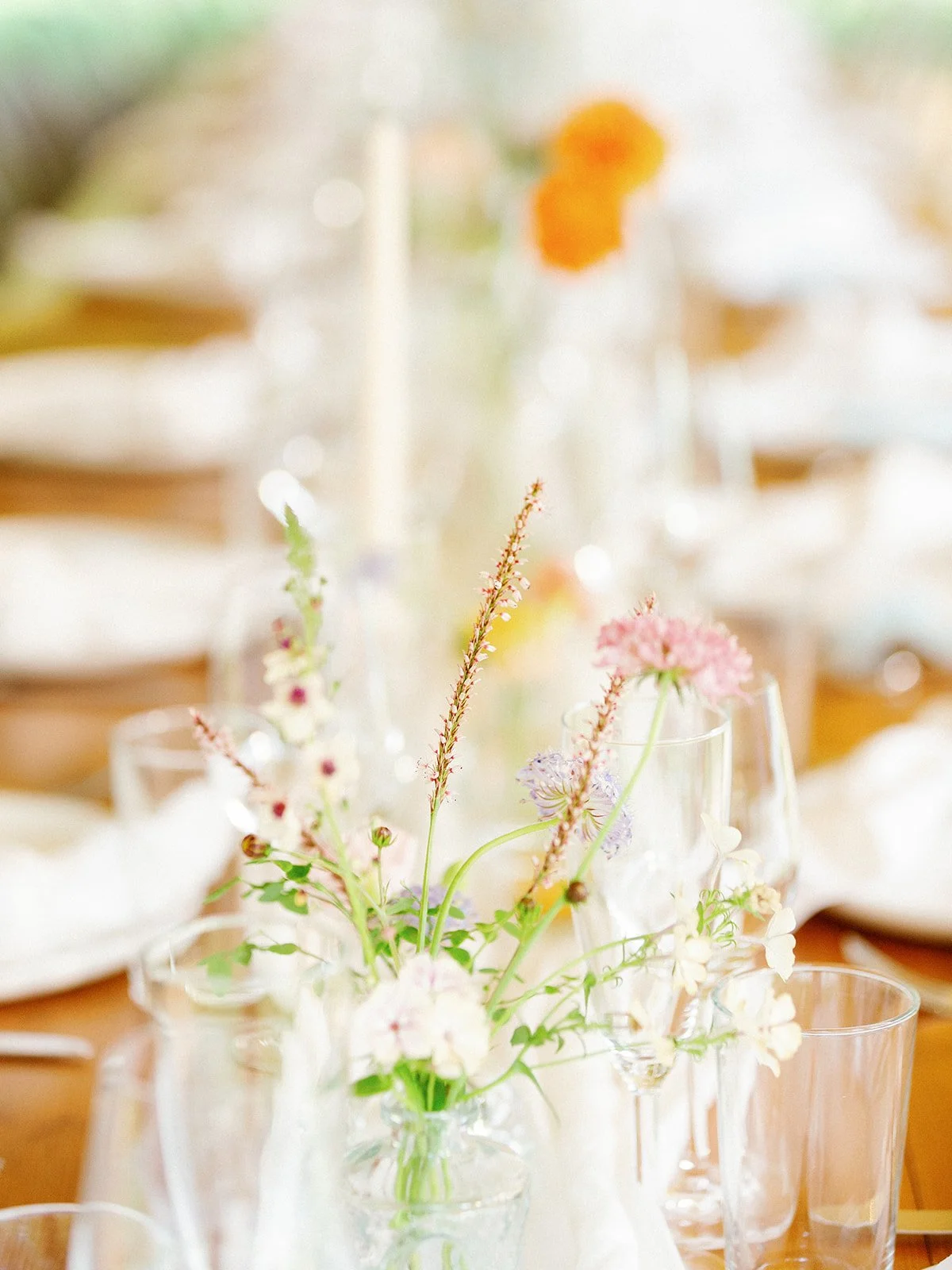 10142914434.jpg_exif1 (1).jpg