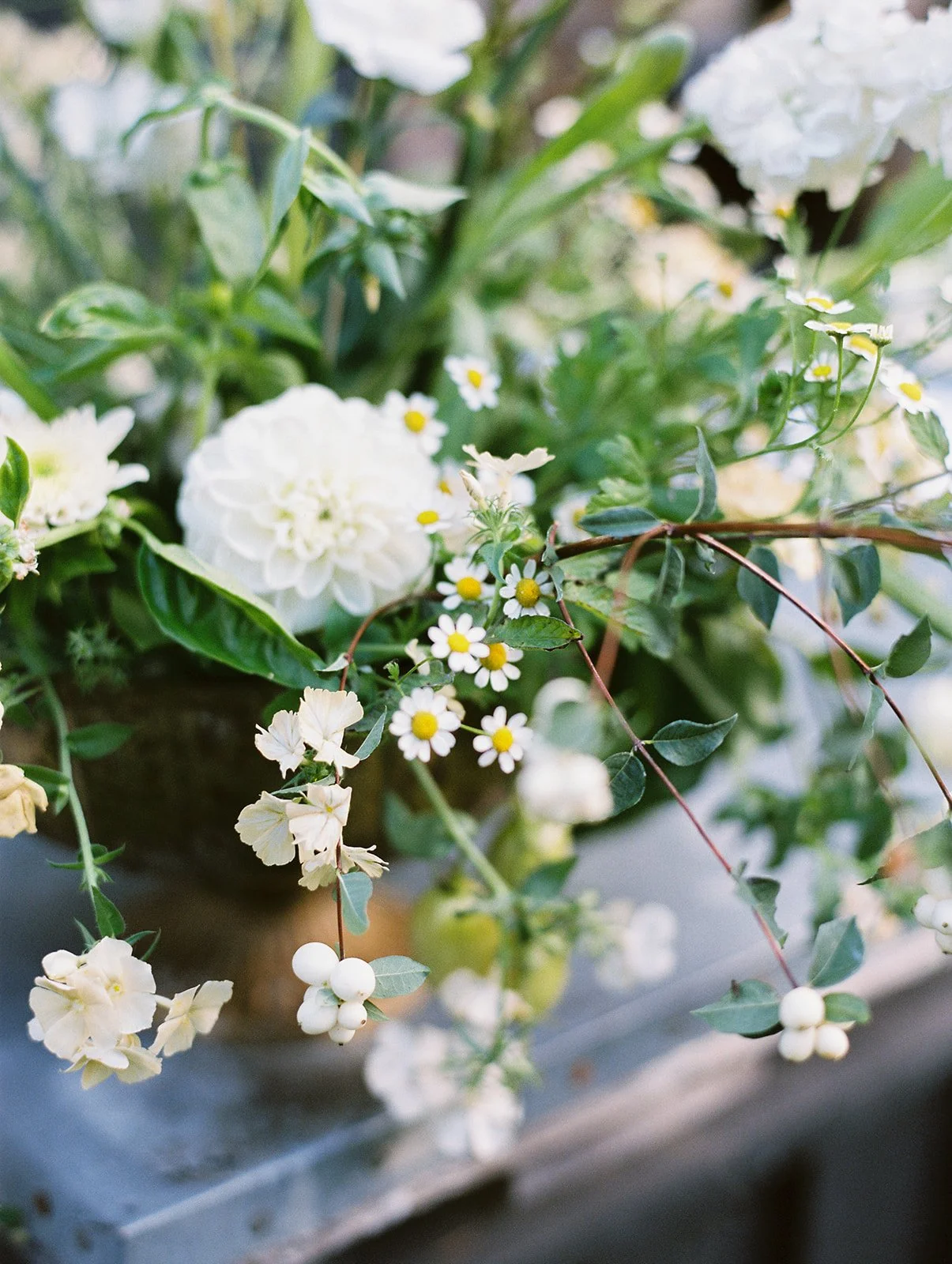 Melissa & Rob-582_websize.jpg