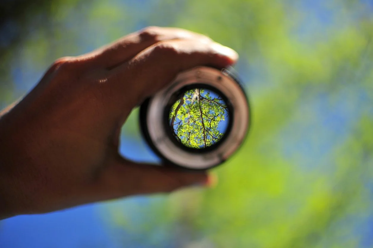 Navigate Complexity | Get clarity