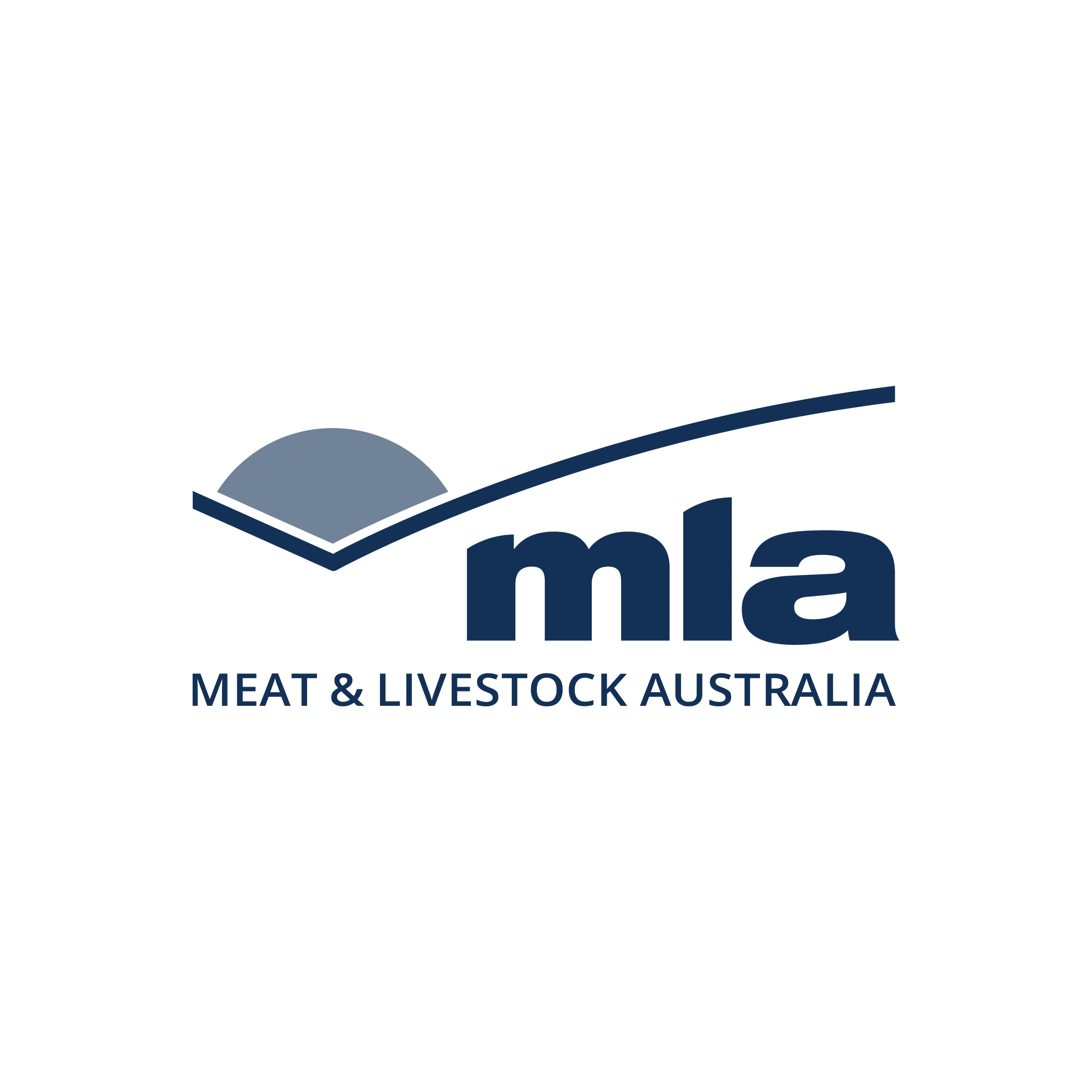 MLA.png