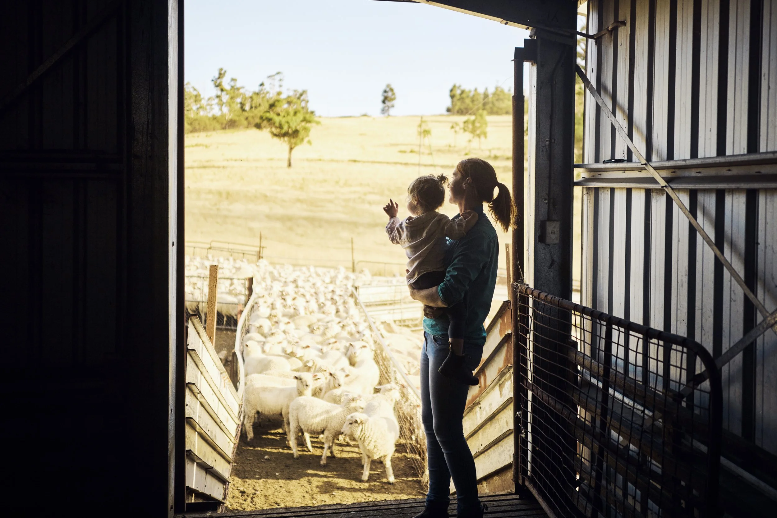 Healthier Herds, Healthier Planet: The Sustainable Future of Livestock Care