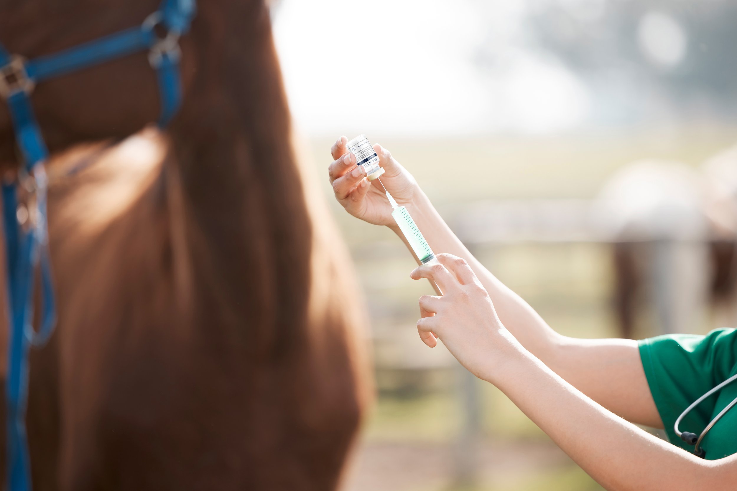 iStock-1372614885_AgriCureX_RT.jpg
