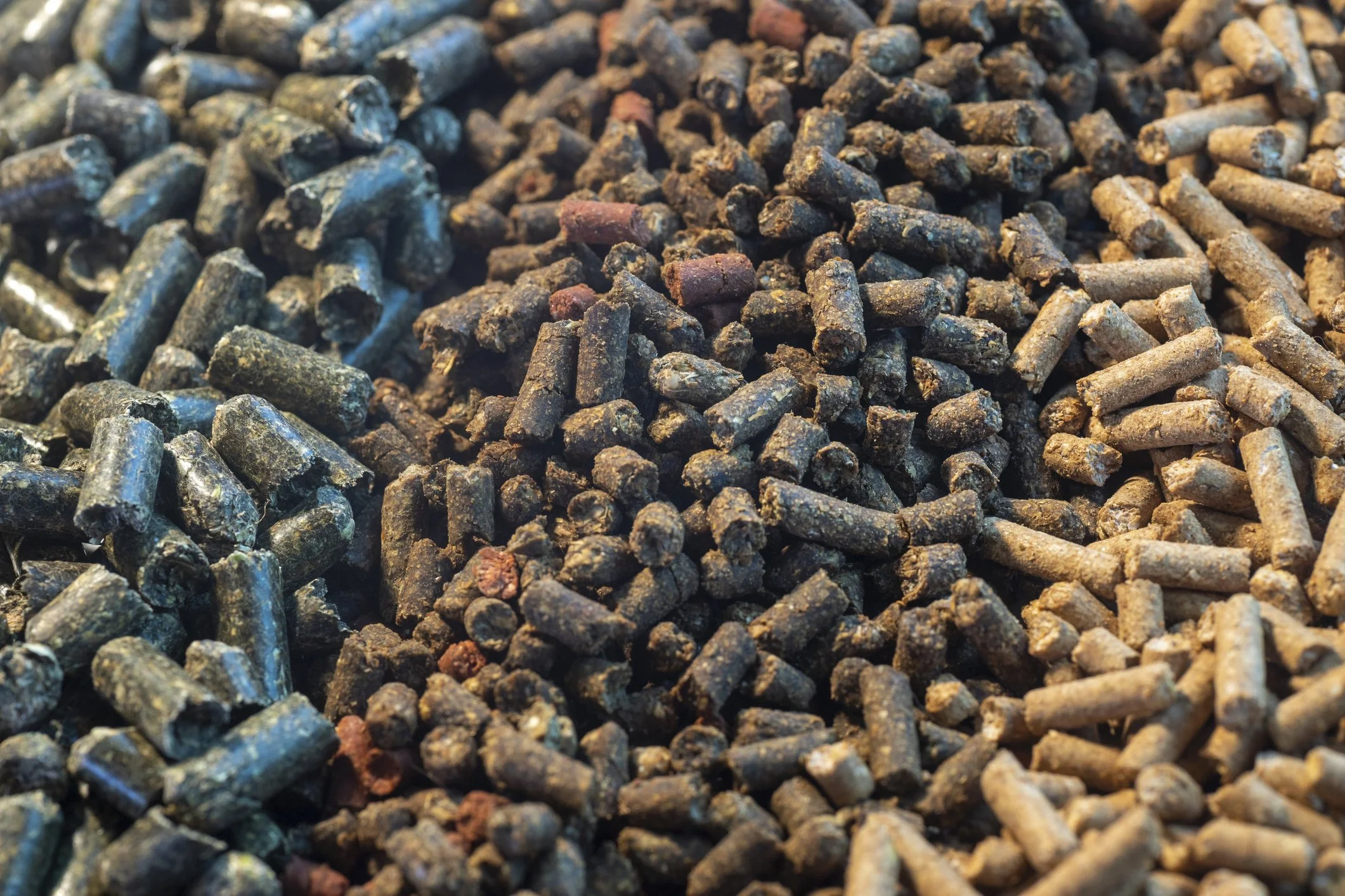 Close-up of a large pile of animal or bird feed pellets in various shades of brown, black, and reddish-brown.