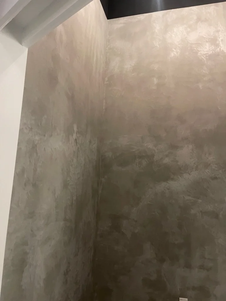 Close-up detail of a cement-finish Venetian plaster wall showing organic movement, texture, and natural color variation.